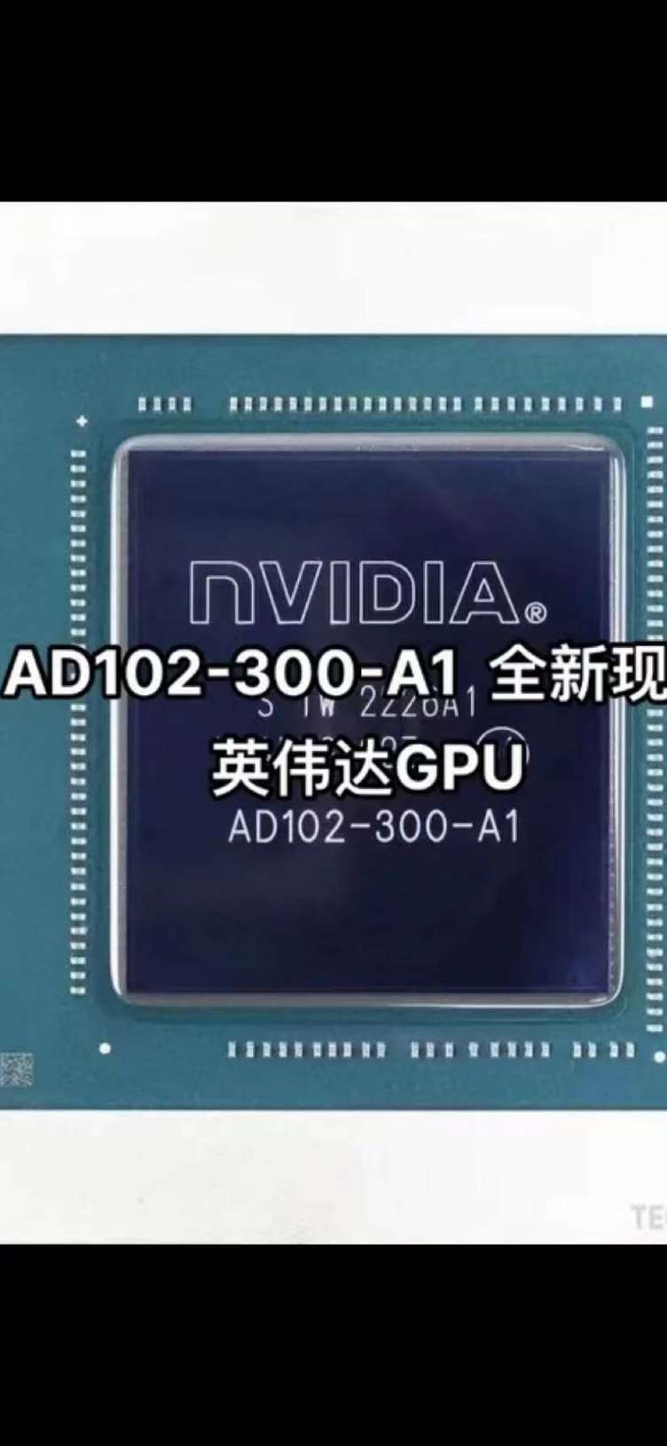 找芯片：NV AD102-300-A1芯片